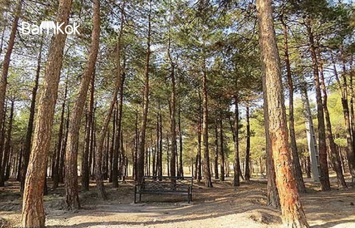 بوستان جنگلی چیتگر