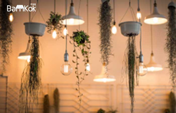 گروه تولیدی ایندو کوپ