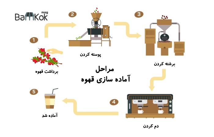 با قهوه، مشخصات و نحوه تهیه آن آشنا شوید
