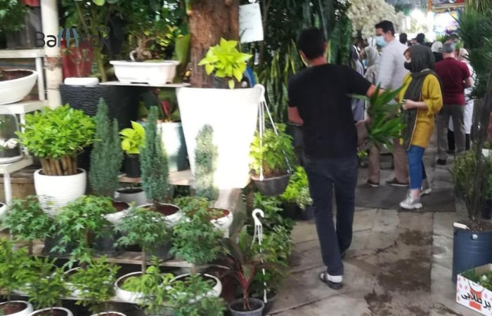 بازار گل و گیاه غرب تهران