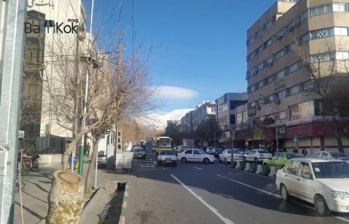 وجود کیس های متنوع برای اجاره مغازه