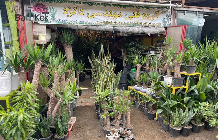 بازار گل خاوران