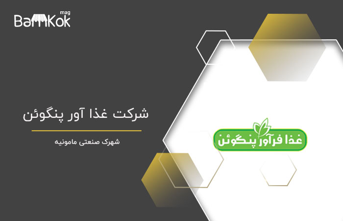 شرکت غذا آور پنگوئن