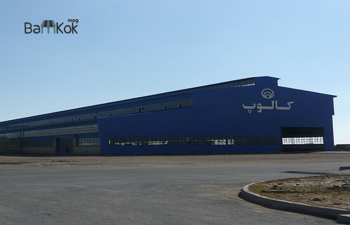 شرکت کالوپ