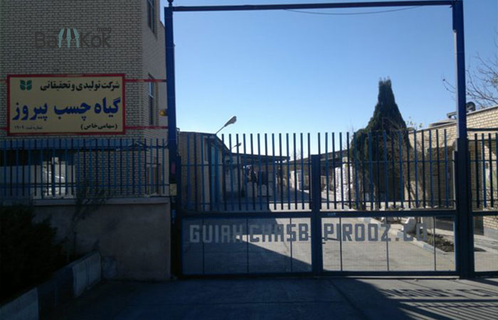 شرکت گیاه چسب پیروز