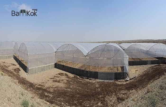 شرکت نهال رویش