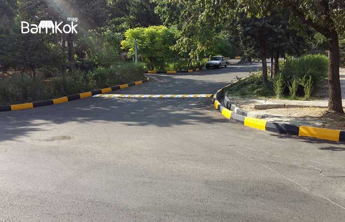 شرکت آویژه